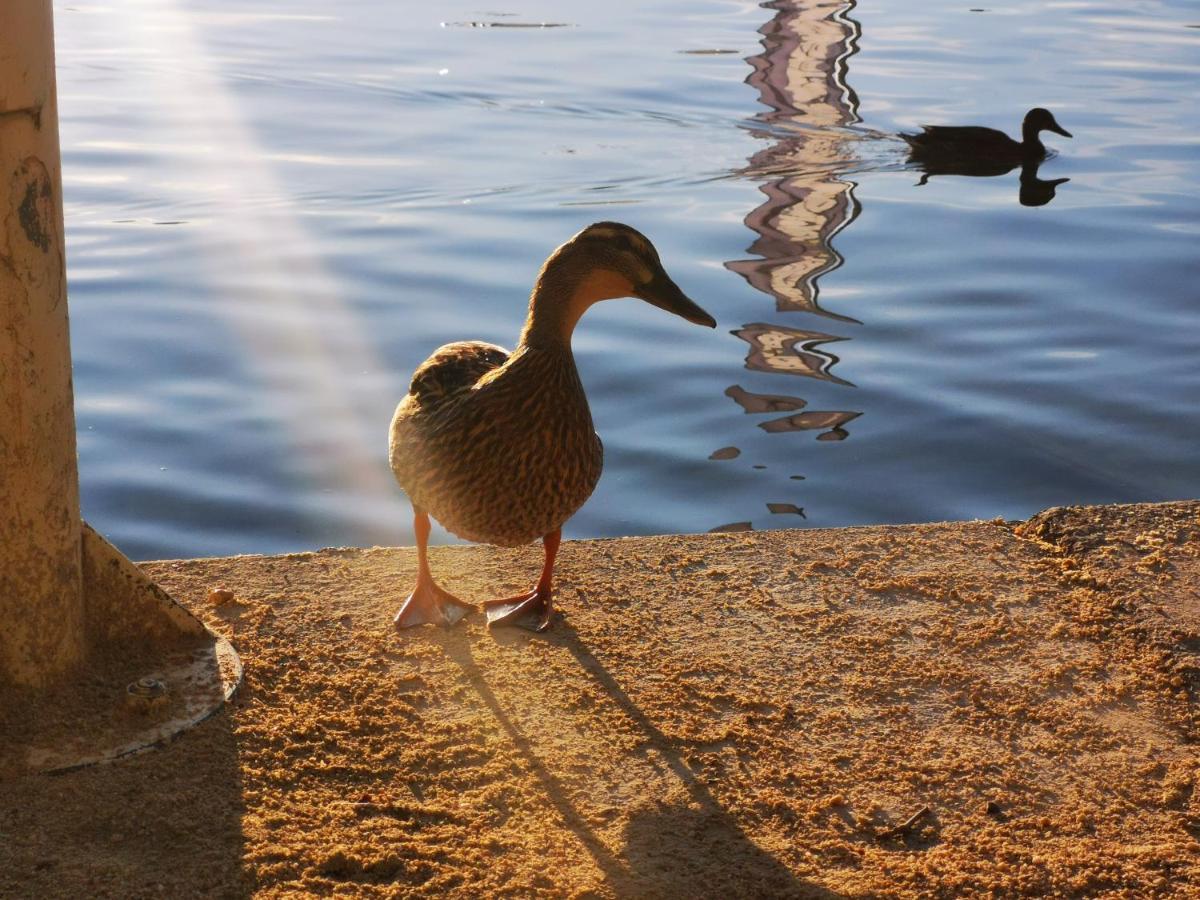 Ferienparadies Gutounik Pörtschach am Wörthersee Exterior foto