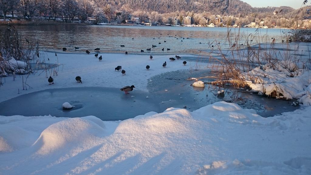 Ferienparadies Gutounik Pörtschach am Wörthersee Exterior foto